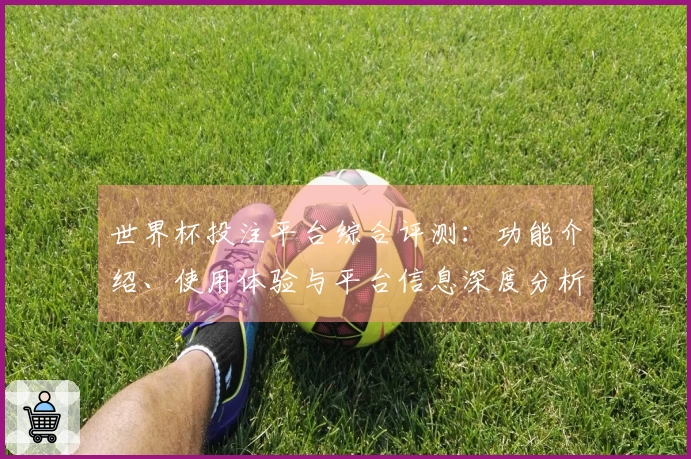 世界杯投注平台综合评测：功能介绍、使用体验与平台信息深度分析