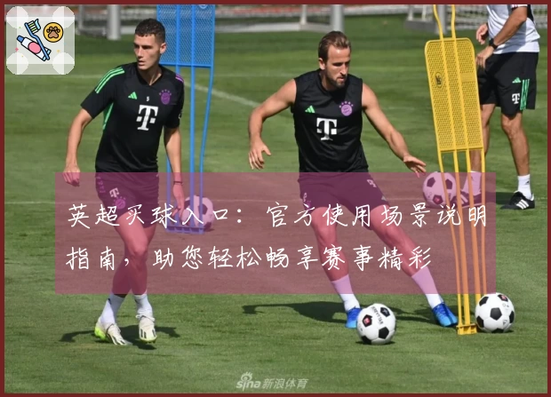 英超买球入口:官方使用场景说明指南,助您轻松畅享赛事精彩