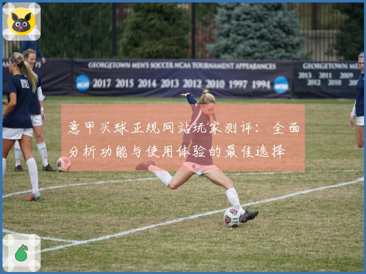 意甲买球正规网站玩家测评：全面分析功能与使用体验的最佳选择