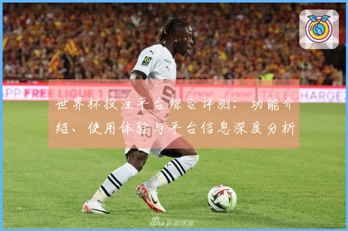 世界杯投注平台综合评测：功能介绍、使用体验与平台信息深度分析